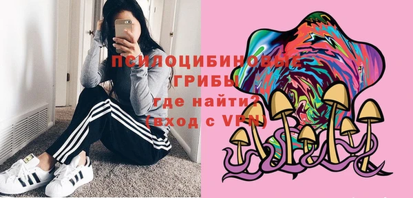 PSILOCYBIN Киров