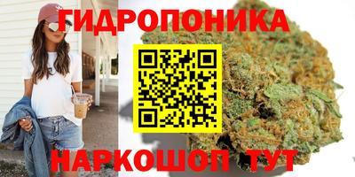 стаф Малоярославец