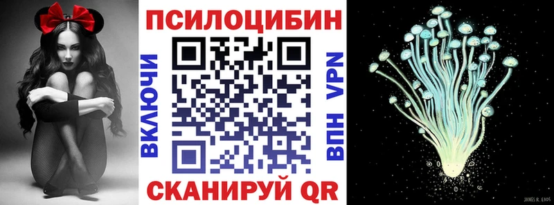 Псилоцибиновые грибы мицелий  Элиста 