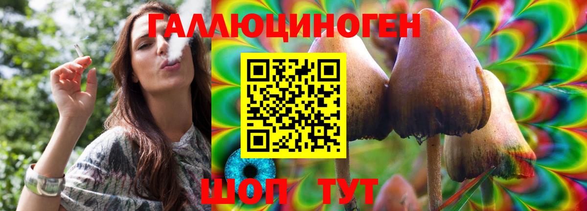 Псилоцибиновые грибы мухоморы Элиста
